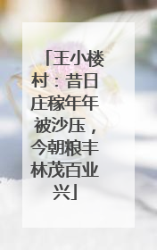 王小楼村：昔日庄稼年年被沙压，今朝粮丰林茂百业兴