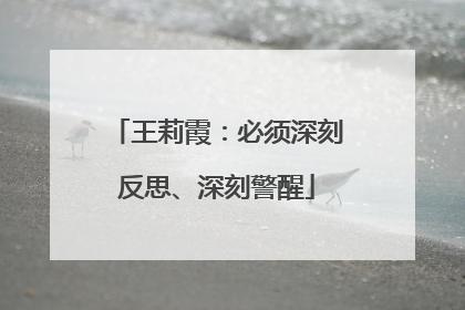 王莉霞：必须深刻反思、深刻警醒
