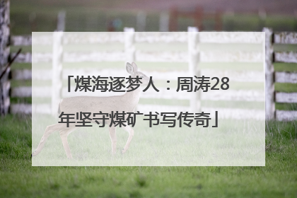 煤海逐梦人：周涛28年坚守煤矿书写传奇