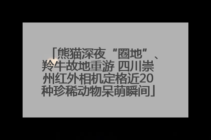 熊猫深夜“圈地”、羚牛故地重游 四川崇州红外相机定格近20种珍稀动物呆萌瞬间