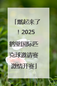燃起来了！2025鹤壁国际匹克球邀请赛激情开赛