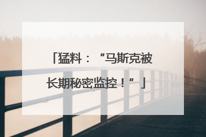 猛料：“马斯克被长期秘密监控！”