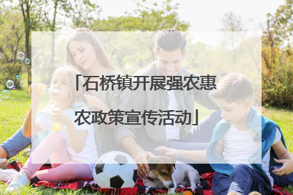石桥镇开展强农惠农政策宣传活动