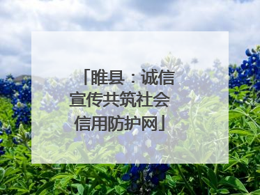 睢县：诚信宣传共筑社会信用防护网