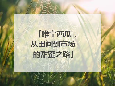 睢宁西瓜：从田间到市场的甜蜜之路