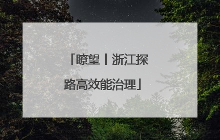 瞭望丨浙江探路高效能治理