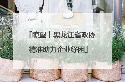 瞭望丨黑龙江省政协精准助力企业纾困