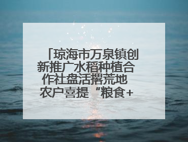 琼海市万泉镇创新推广水稻种植合作社盘活撂荒地 农户喜提“粮食+钞票”分红