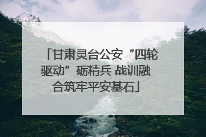甘肃灵台公安“四轮驱动”砺精兵 战训融合筑牢平安基石