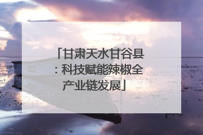 甘肃天水甘谷县：科技赋能辣椒全产业链发展