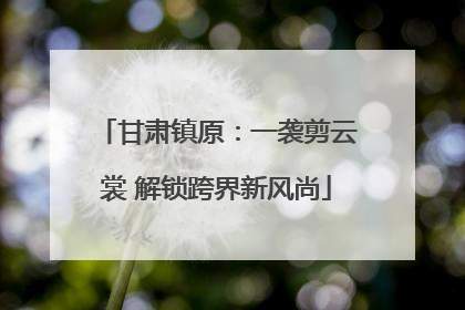 甘肃镇原：一袭剪云裳 解锁跨界新风尚