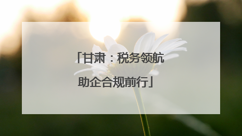 甘肃：税务领航 助企合规前行