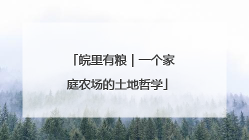 皖里有粮｜一个家庭农场的土地哲学