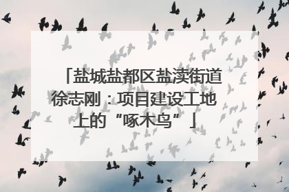 盐城盐都区盐渎街道徐志刚：项目建设工地上的“啄木鸟”