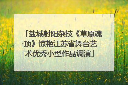 盐城射阳杂技《草原魂·顶》惊艳江苏省舞台艺术优秀小型作品调演