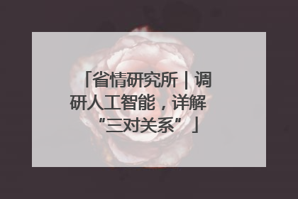 省情研究所｜调研人工智能，详解“三对关系”