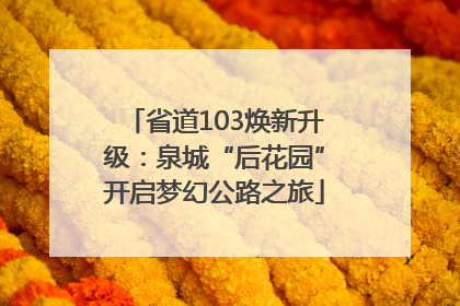 省道103焕新升级：泉城“后花园”开启梦幻公路之旅