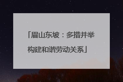 眉山东坡：多措并举构建和谐劳动关系