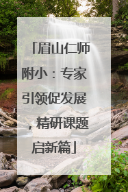 眉山仁师附小：专家引领促发展，精研课题启新篇