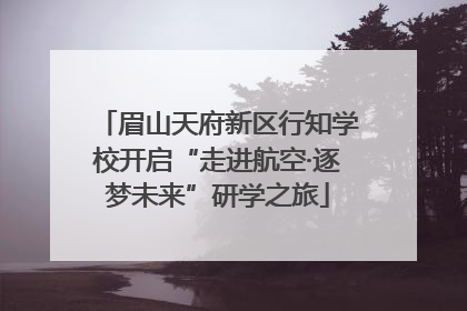 眉山天府新区行知学校开启“走进航空·逐梦未来”研学之旅