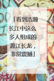看到浩瀚长江中这么多人组成的渡江长龙，非常震撼