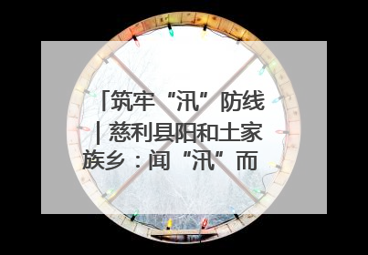 筑牢“汛”防线｜慈利县阳和土家族乡：闻“汛”而动 全员下沉筑牢防汛“安全堤”