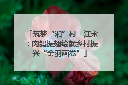 筑梦“湘”村｜江永：肉鸽振翅绘就乡村振兴“金羽画卷”