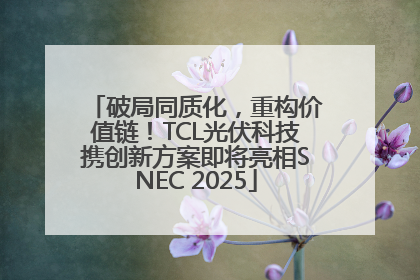 破局同质化，重构价值链！TCL光伏科技携创新方案即将亮相SNEC 2025