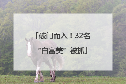 破门而入！32名“白富美”被抓