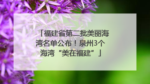 福建省第二批美丽海湾名单公布！泉州3个海湾“美在福建”