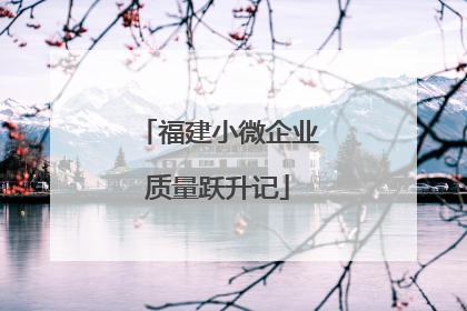 福建小微企业质量跃升记