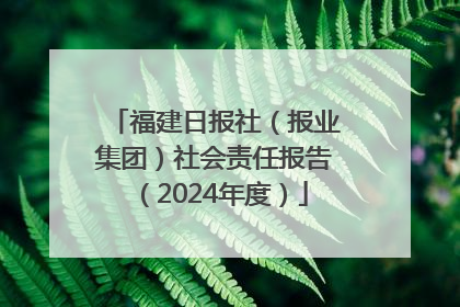 福建日报社（报业集团）社会责任报告（2024年度）