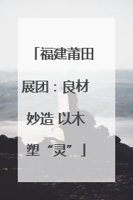 福建莆田展团：良材妙造 以木塑“灵”