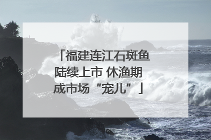福建连江石斑鱼陆续上市 休渔期成市场“宠儿”