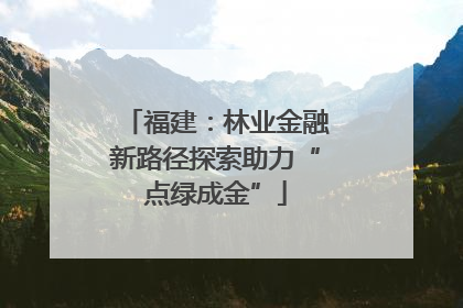 福建：林业金融新路径探索助力“点绿成金”