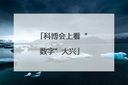 科博会上看“数字”大兴