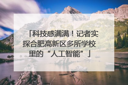 科技感满满！记者实探合肥高新区多所学校里的“人工智能”