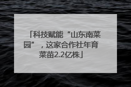 科技赋能“山东南菜园”，这家合作社年育菜苗2.2亿株