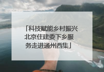 科技赋能乡村振兴 北京住建委下乡服务走进通州西集