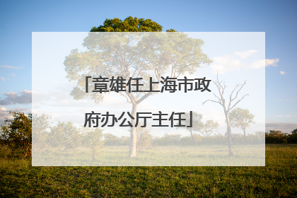 章雄任上海市政府办公厅主任
