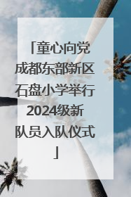 童心向党 成都东部新区石盘小学举行2024级新队员入队仪式
