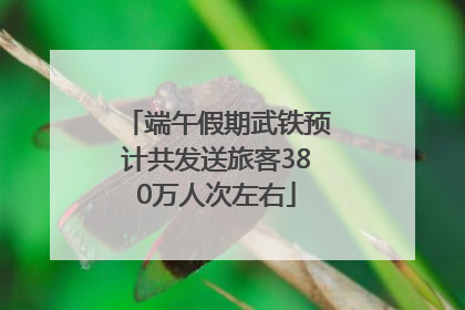 端午假期武铁预计共发送旅客380万人次左右