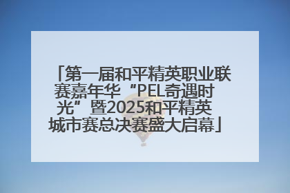 第一届和平精英职业联赛嘉年华“PEL奇遇时光”暨2025和平精英城市赛总决赛盛大启幕