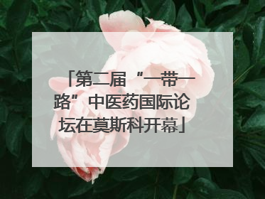 第二届“一带一路”中医药国际论坛在莫斯科开幕