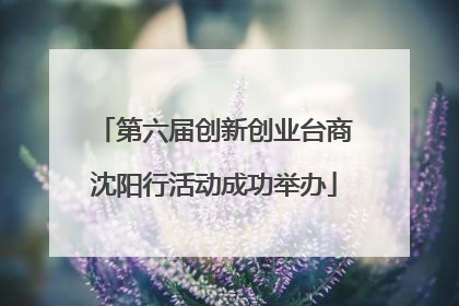 第六届创新创业台商沈阳行活动成功举办