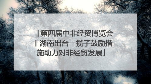 第四届中非经贸博览会丨湖南出台一揽子鼓励措施助力对非经贸发展
