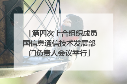 第四次上合组织成员国信息通信技术发展部门负责人会议举行