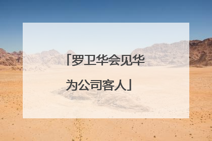 罗卫华会见华为公司客人