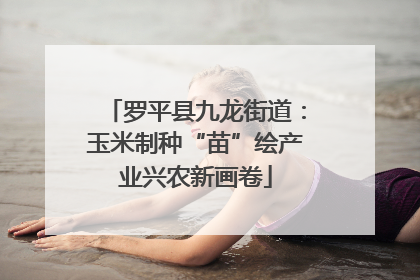 罗平县九龙街道：玉米制种“苗”绘产业兴农新画卷