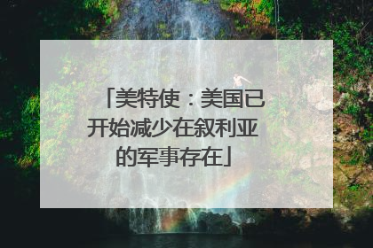 美特使：美国已开始减少在叙利亚的军事存在